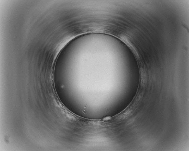 X0000101980956200807251230