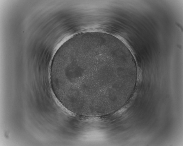 X0000101980957200807251230