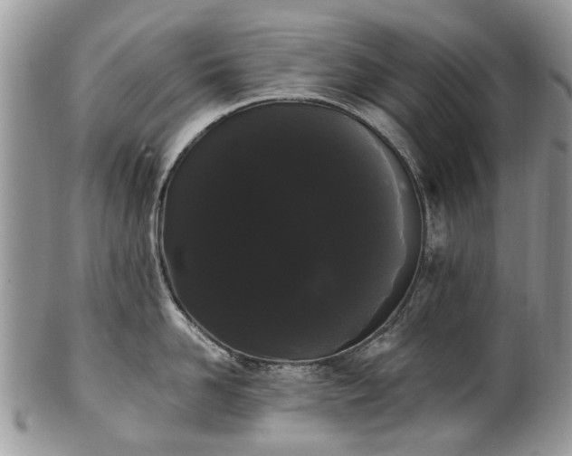 X0000101980958200807251230