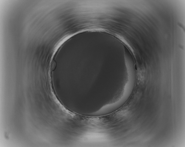 X0000101980959200807251230