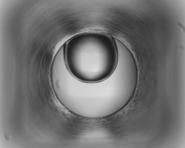 X0000101980960200807251230