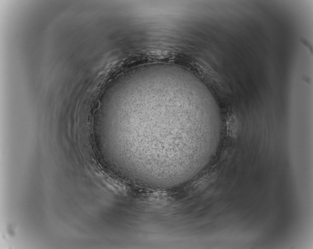 X0000101980961200807251230