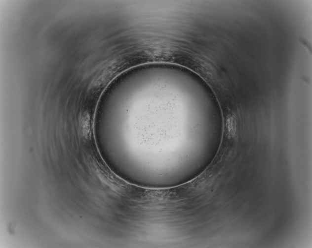 X0000101980963200807251230