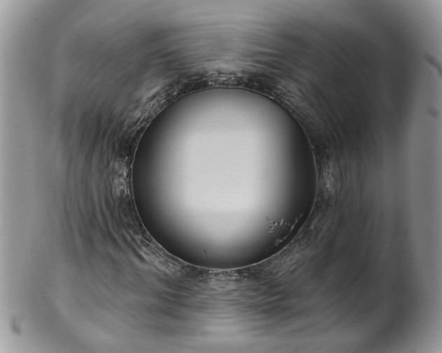 X0000101980964200807251230