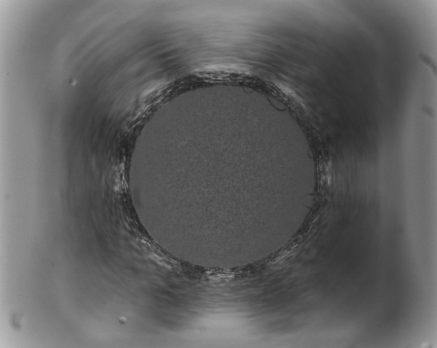 X0000101980965200807251230