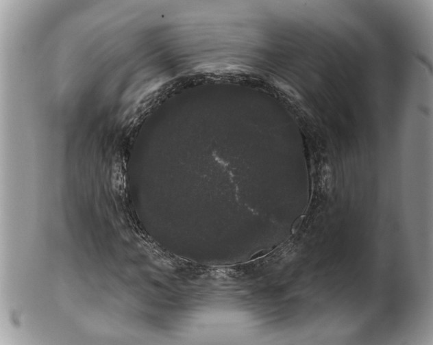 X0000101980966200807251230