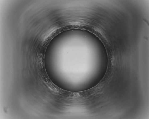 X0000101980968200807251230