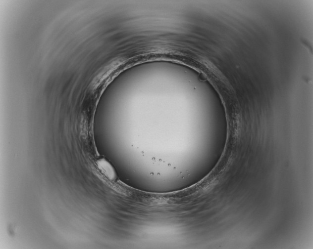 X0000101980969200807251230