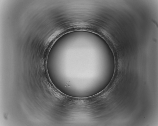 X0000101980970200807251230