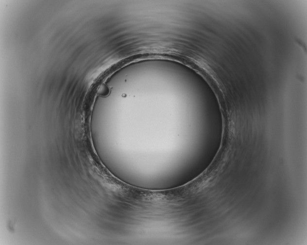 X0000101980971200807251230