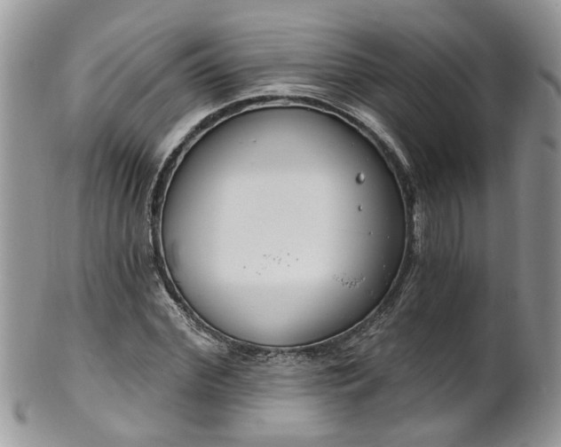 X0000101980972200807251230