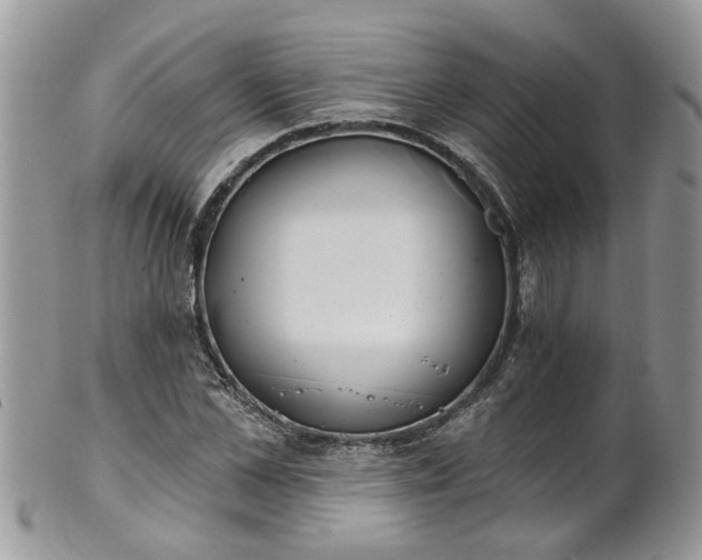 X0000101980973200807251230