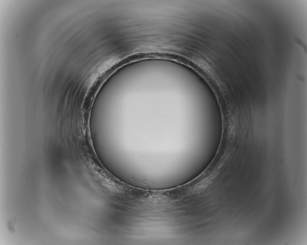 X0000101980974200807251230