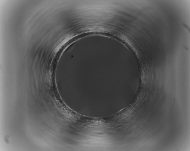 X0000101980975200807251230