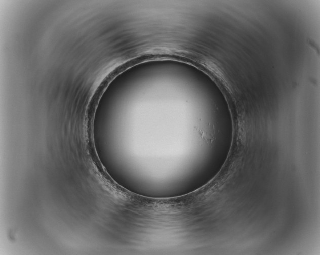 X0000101980976200807251230