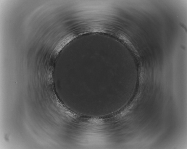 X0000101980977200807251230