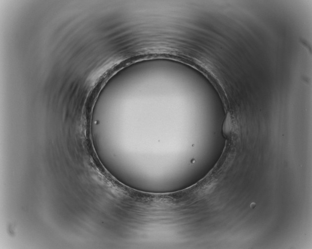 X0000101980979200807251230