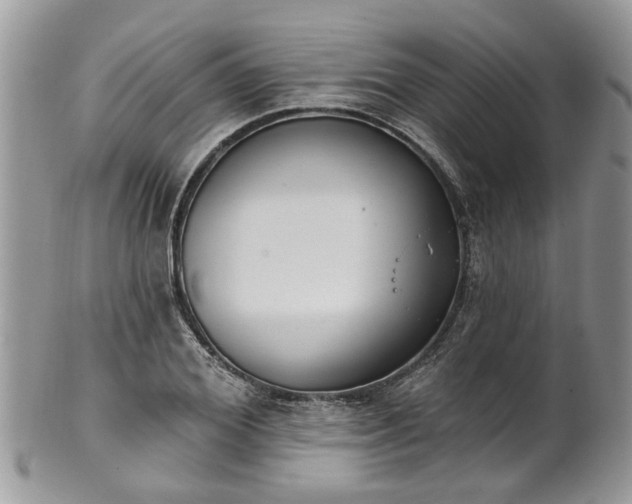 X0000101980980200807251230