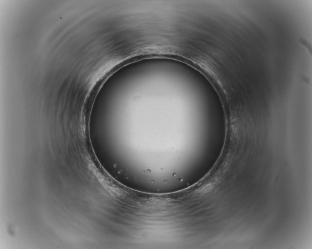 X0000101980981200807251229