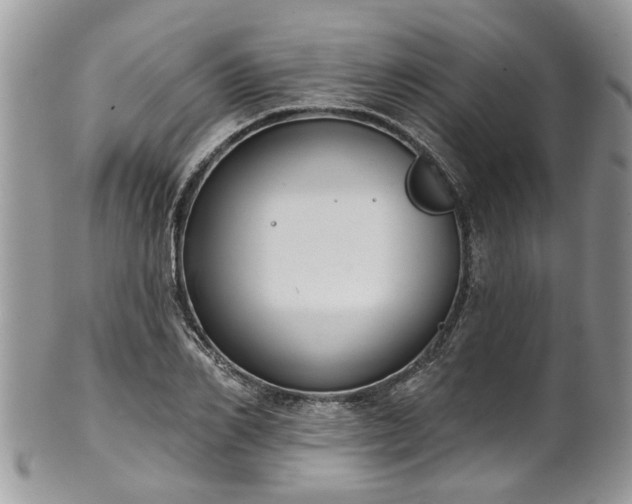 X0000101980982200807251229