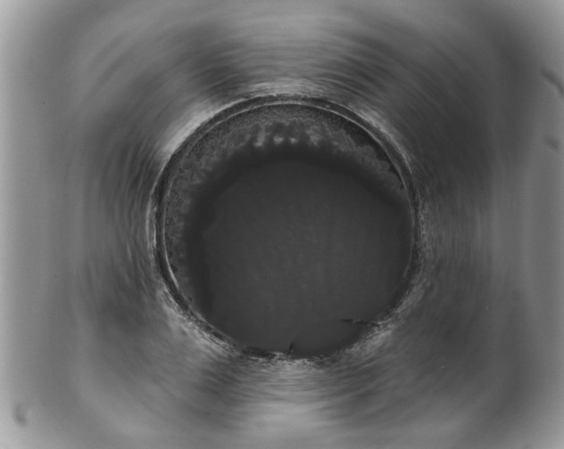 X0000101980983200807251229