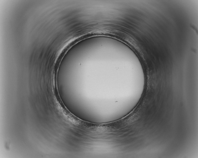 X0000101980984200807251229