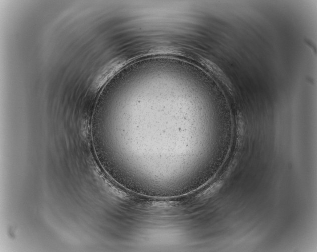 X0000101980985200807251229