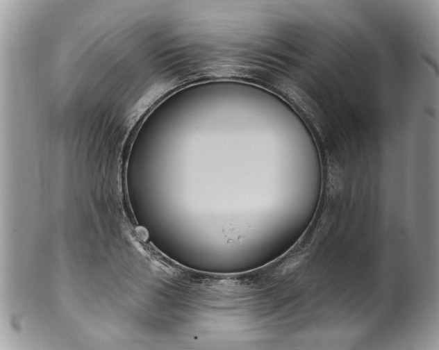 X0000101980986200807251229