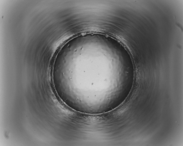 X0000101980987200807251229