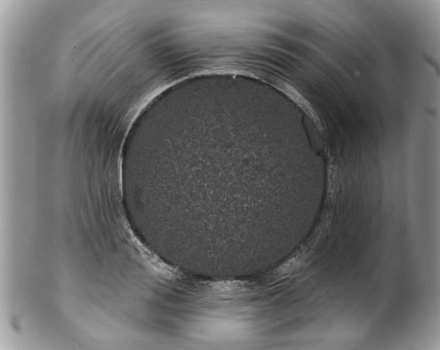 X0000101980988200807251229