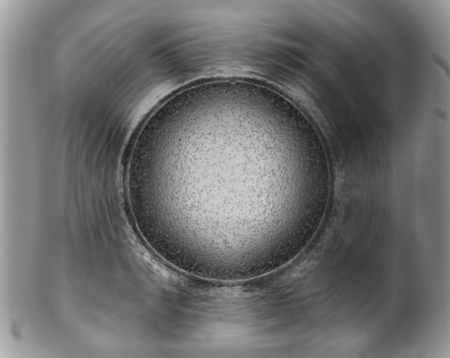 X0000101980990200807251229