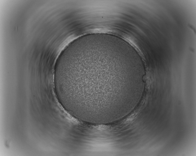 X0000101980992200807251229