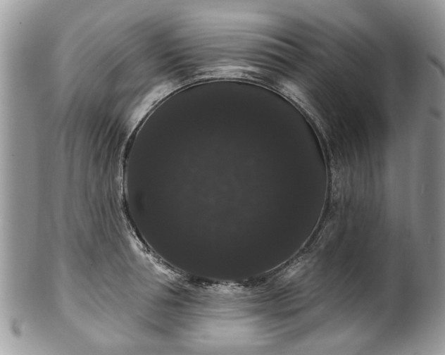 X0000101980994200807251229