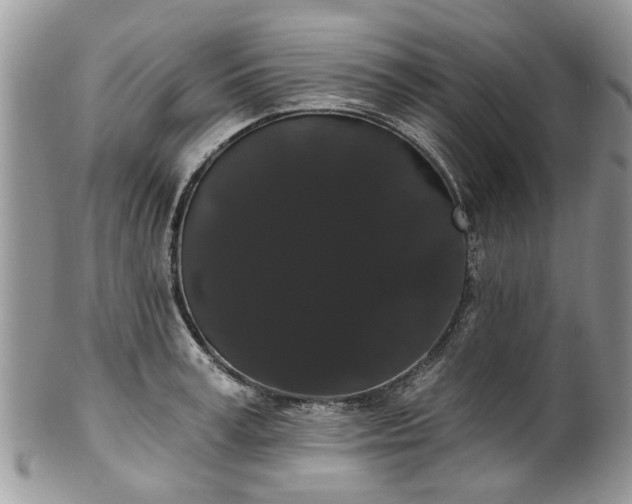 X0000101980995200807251229