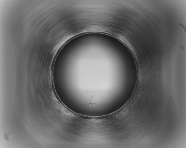 X0000101980996200807251229