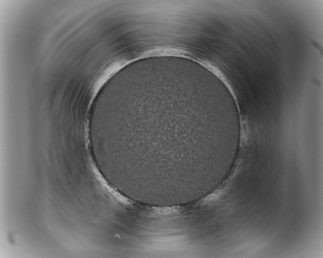 X0000101980997200807251229