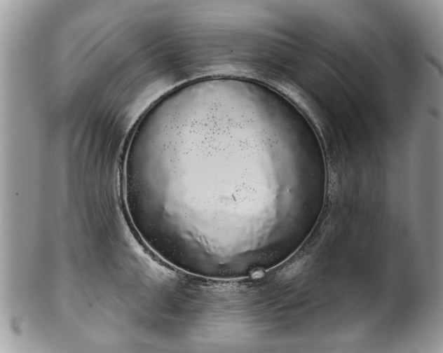 X0000101980999200807251229