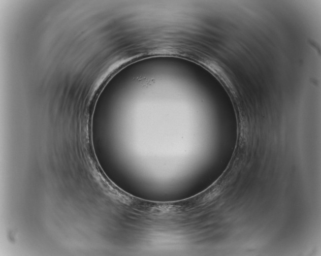 X0000101981000200807251229