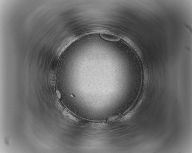 X0000101981001200807251229