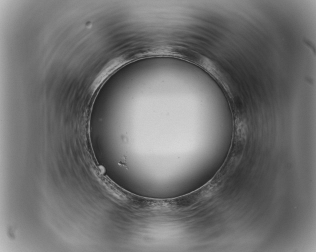 X0000101981002200807251229