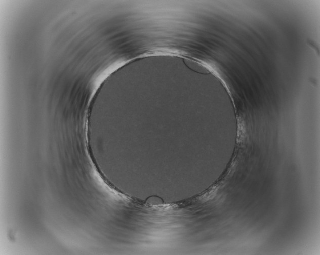 X0000101981003200807251229