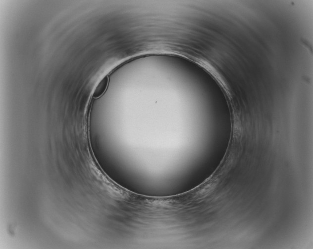 X0000101981004200807251229