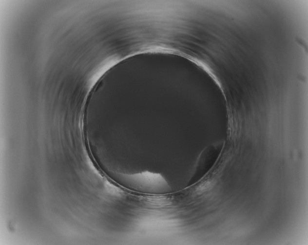 X0000101981007200807251229