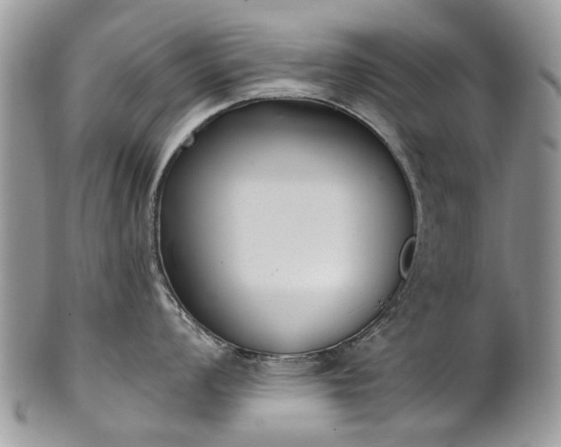 X0000101981008200807251229