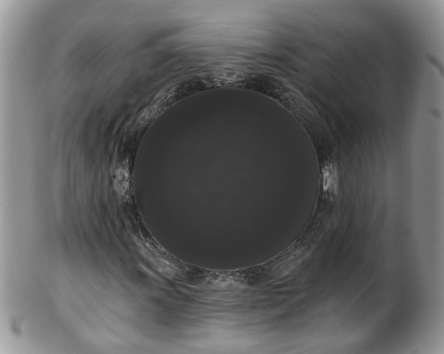 X0000101981011200807251228