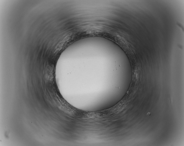 X0000101981012200807251228