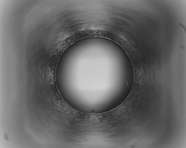 X0000101981013200807251228