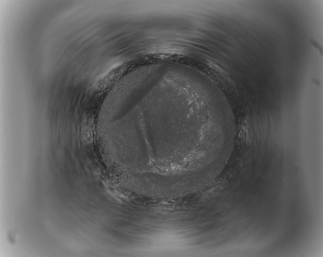 X0000101981014200807251229