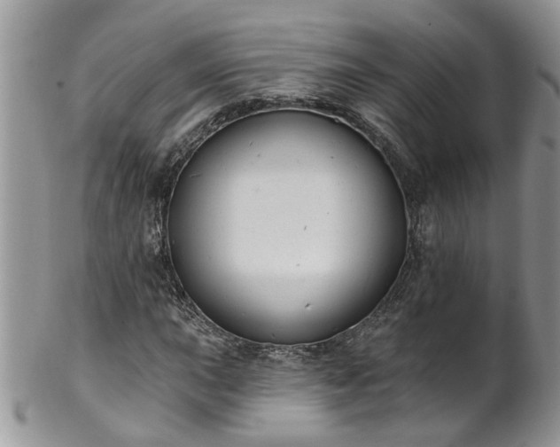 X0000101981015200807251229