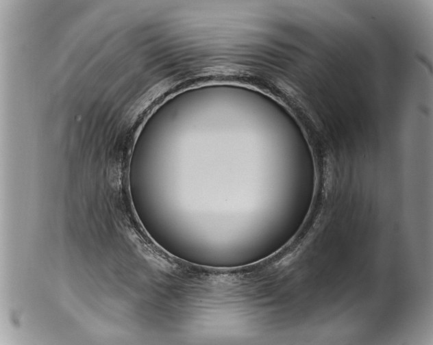 X0000101981017200807251229